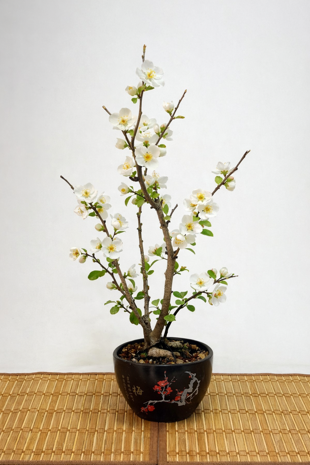 ChatGPT Image 6 feb 2026, 11_59_59